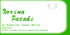 norina pataki business card